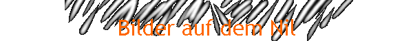 Bilder auf dem Nil